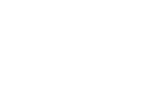 Bats In Churches Home Page