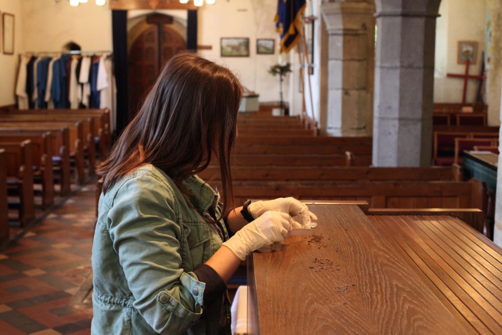 Claire Boothby taking part in the Bats in Churches volunteer survey by collecting droppings from a scatter on a wooden surface