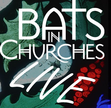 A logo for our Bats in Churches LIVE webinar series, with a stained glass window with a bat as the a background