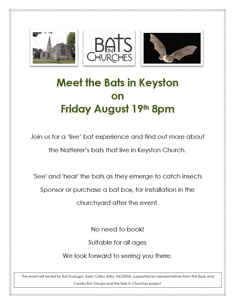 Poster for bat night, text as on page