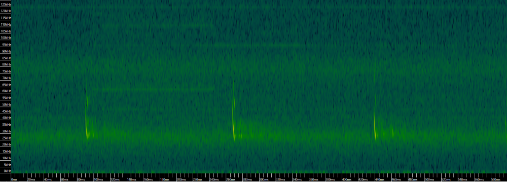 A sonogram of a Long eared bat call
