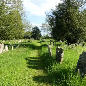 A churchyard in summer, with a mown path through long grass and flowers