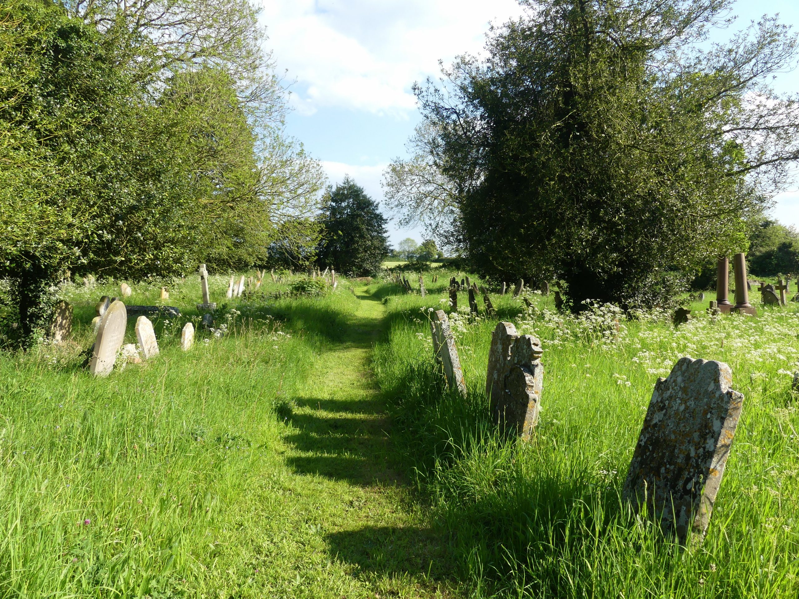 A churchyard in summer, with a mown path through long grass and flowers