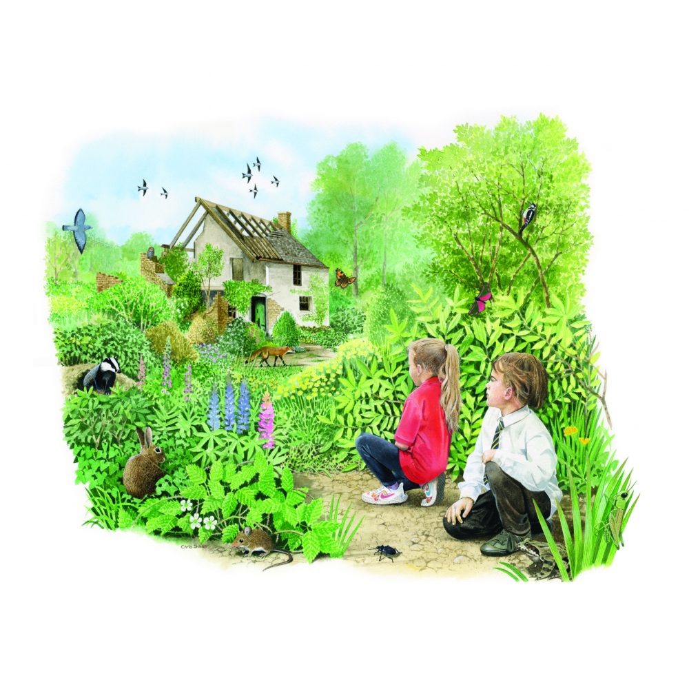 Little Church Bat Book Illustration of two children looking at a tumbledown cottage surrounded by wildlife