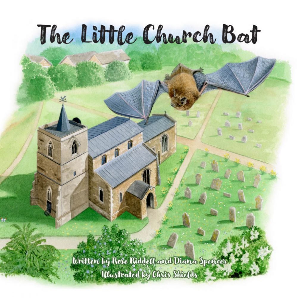 The front cover of The Little Church Bat, showing an illustration of a bat flying over a church