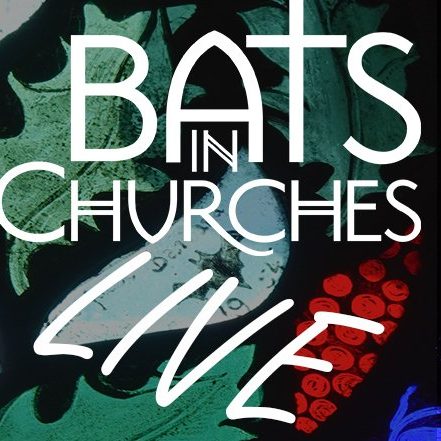 A logo for our Bats in Churches LIVE webinar series, with a stained glass window with a bat as the a background