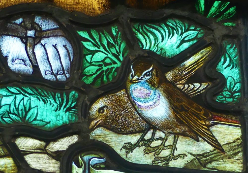 A stained glass image of male and female Bluethroat birds