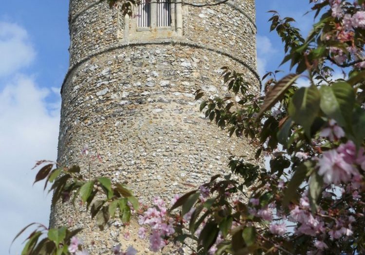 The top of a round tower with a small window, the tower is surrounded by cherry blossom