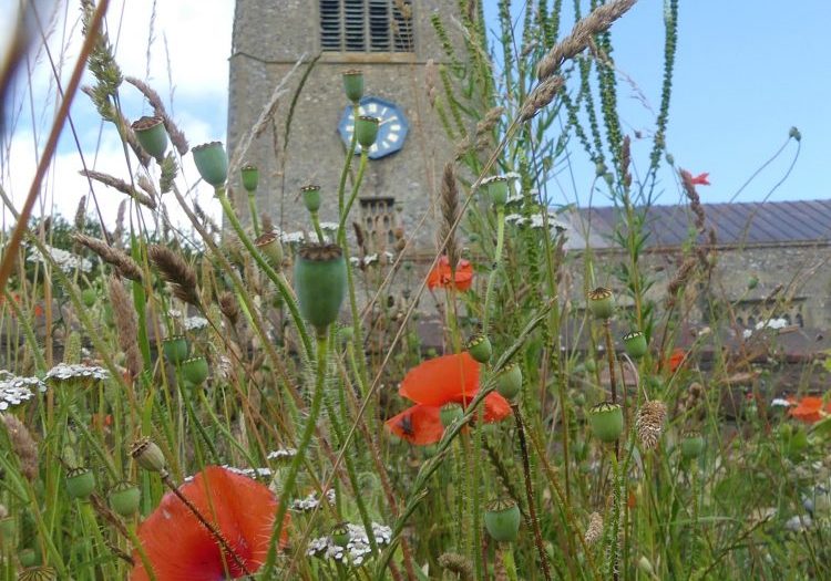 A tall stone tower surrounded by poppies