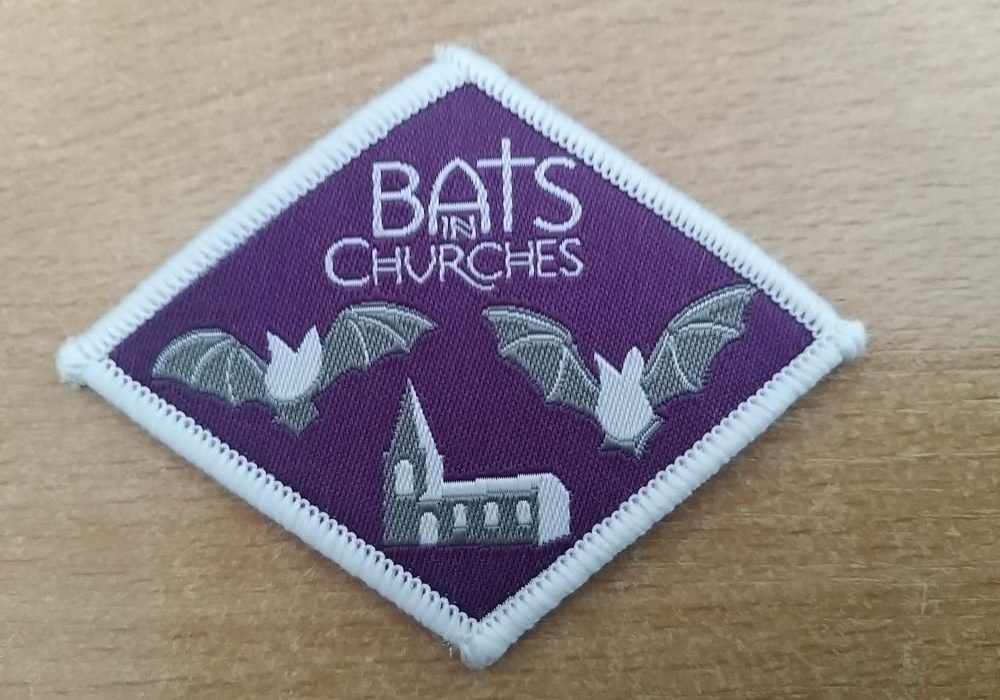 The Bats in Churches Challenge Badge